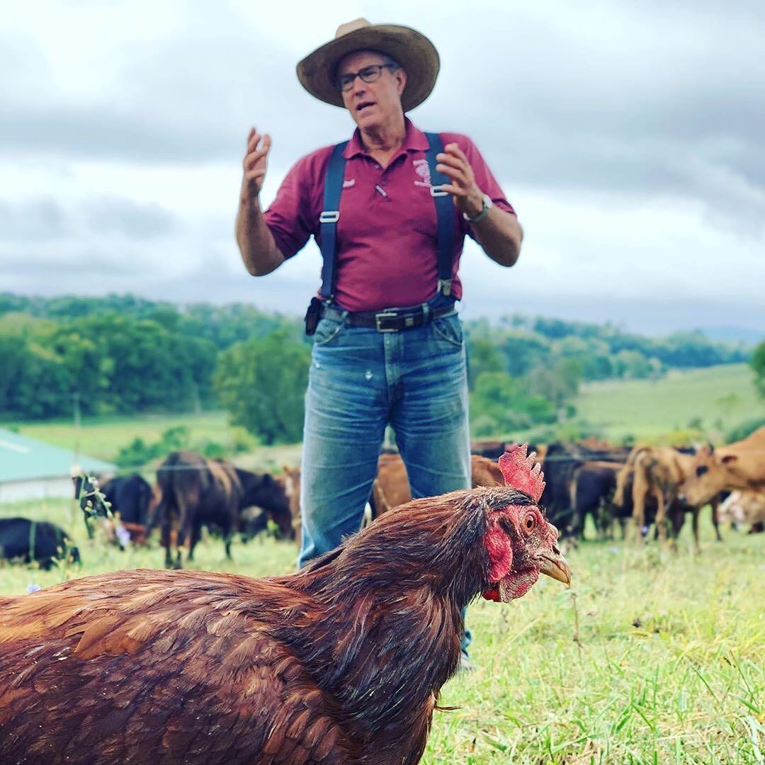Joel Salatin - wykład o rolnictwie regeneratywnym